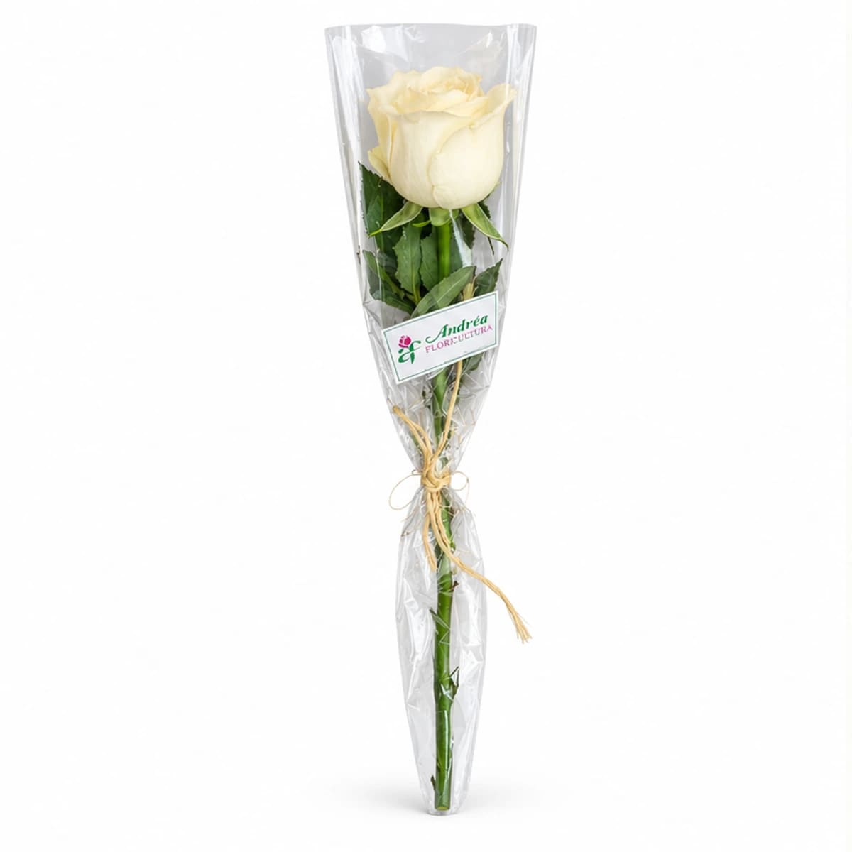 Rosa Avulsa Embalada — Cores Sortidas